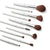 Precision Perfection Brush Set