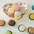 Macaron Sponge Pack